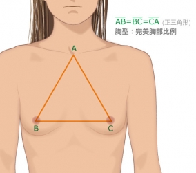 Breasts Surgery - 黃金密碼正常